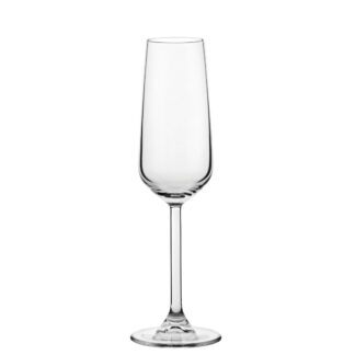 Allegra Champagne Flute 6.75oz (20cl), set of 24