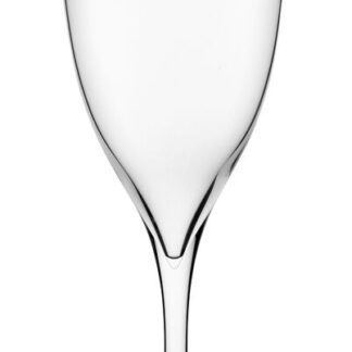 Terroir Champagne Flute 10.5oz (30cl), set of 12