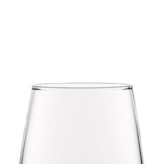 FT Mencia Rocks 16.5oz(47cl), set of 6